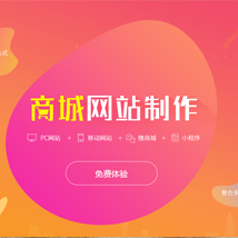 软件开发